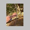 histoire013.html
